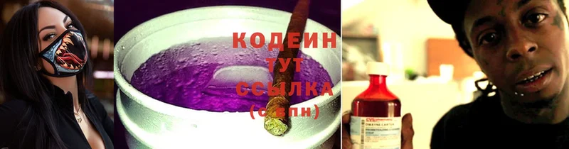 дарнет шоп  Андреаполь  Кодеин Purple Drank 